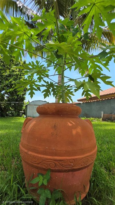 En Renta: $4,800 (3 camas, 2 baños, 1804 Pies cuadrados)