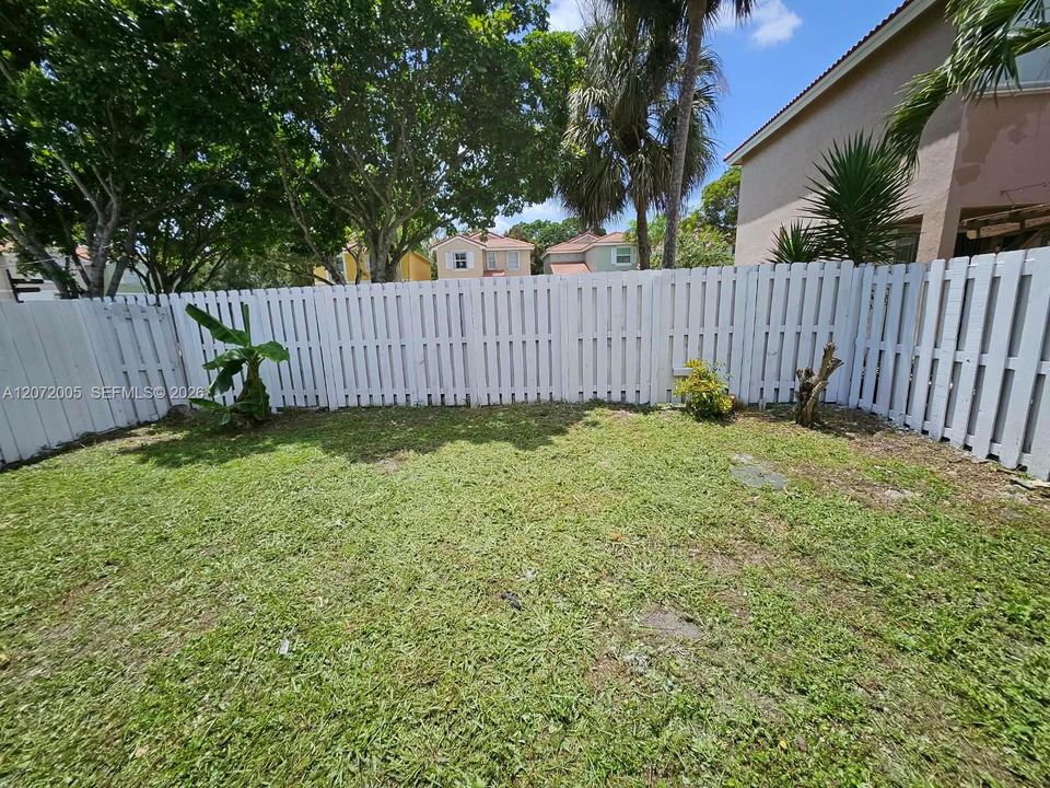 backyard garden