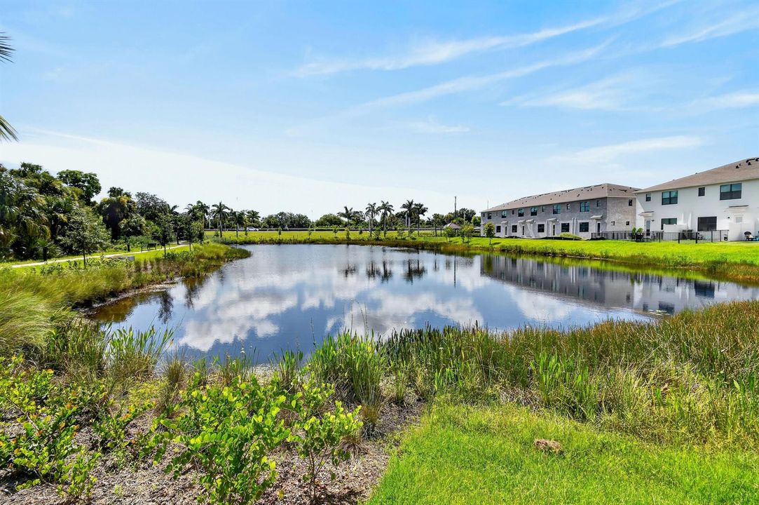 293SWSallyWay(56)