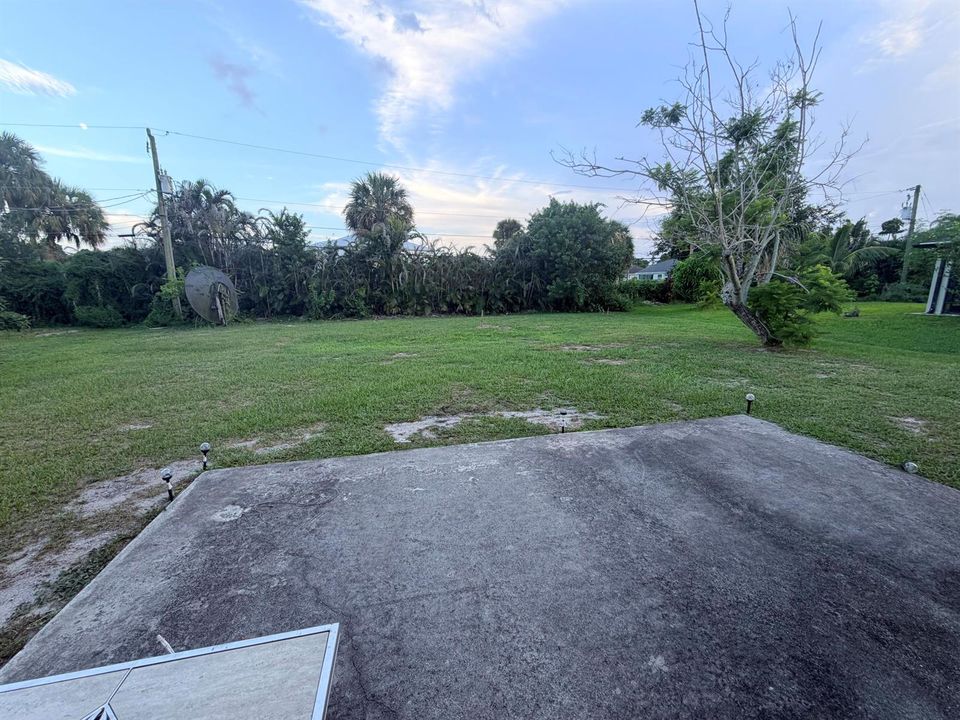 Backyard