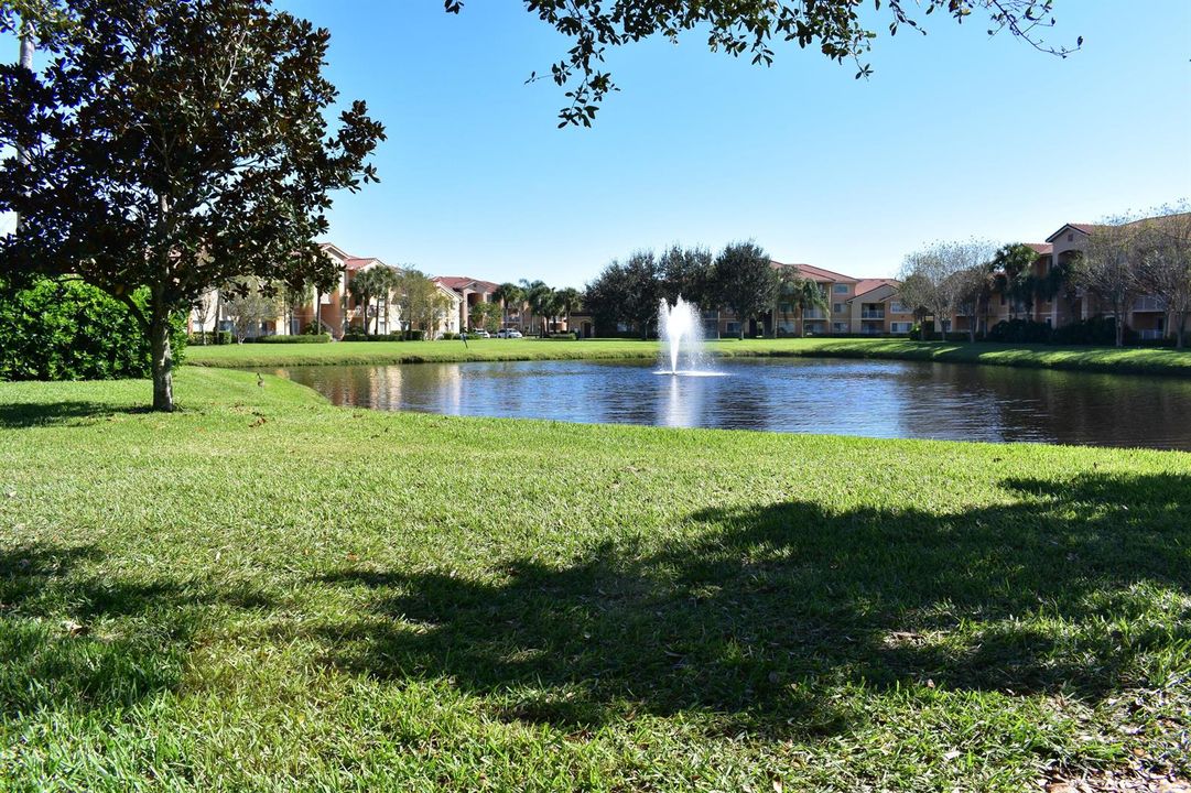 151 Pond
