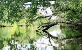sl river
