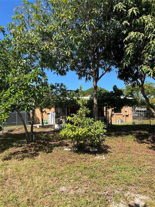 For Sale: $300,000 (3 beds, 1 baths, 920 Square Feet)