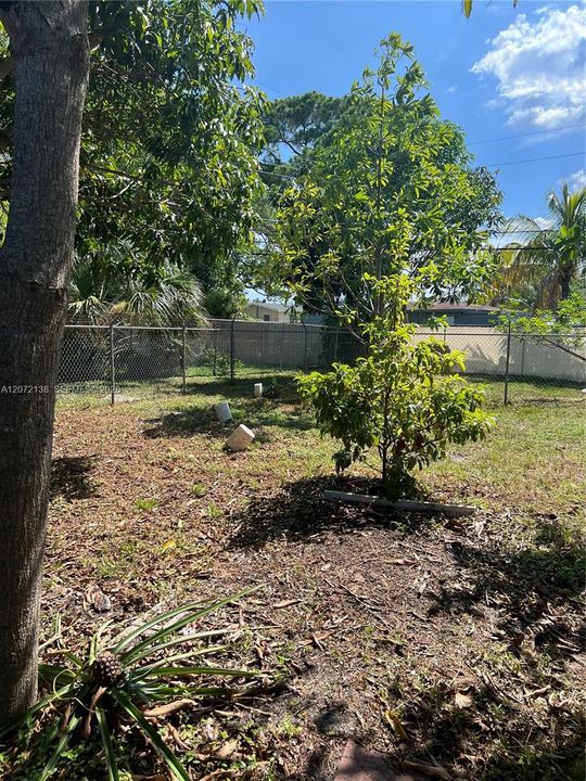 For Sale: $300,000 (3 beds, 1 baths, 920 Square Feet)