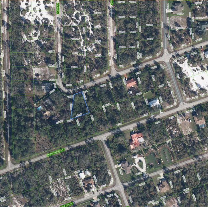 Top view - Trees