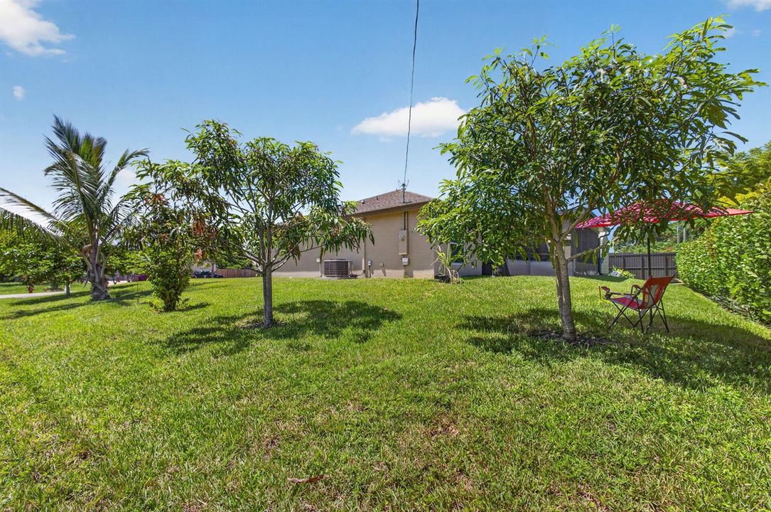 55-web-or-mls-5D1A0112