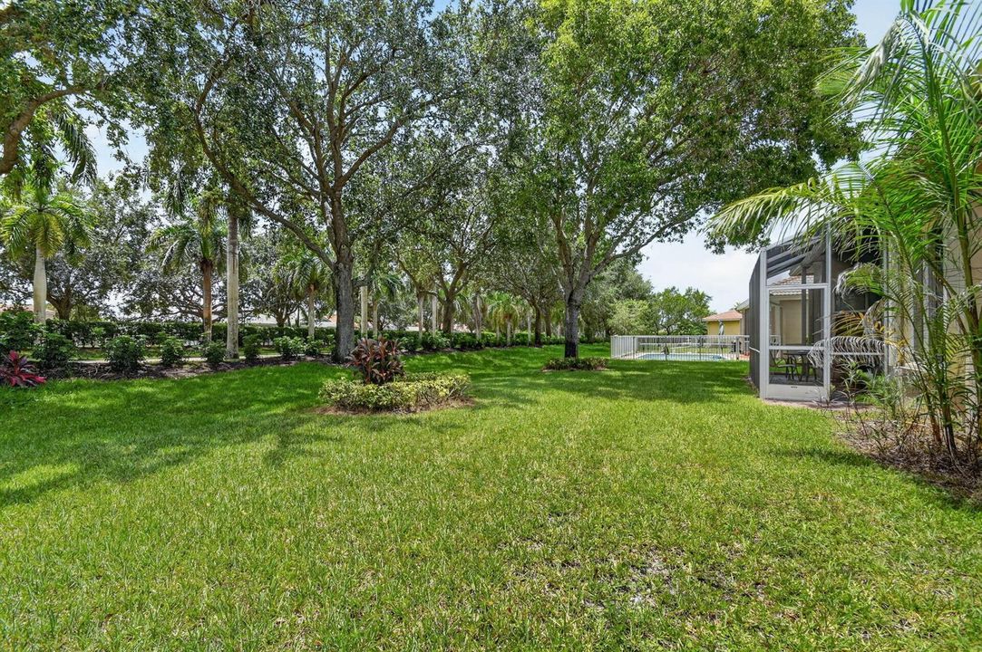 rear yard