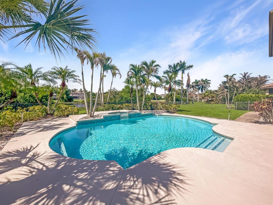 Pool & Backyard