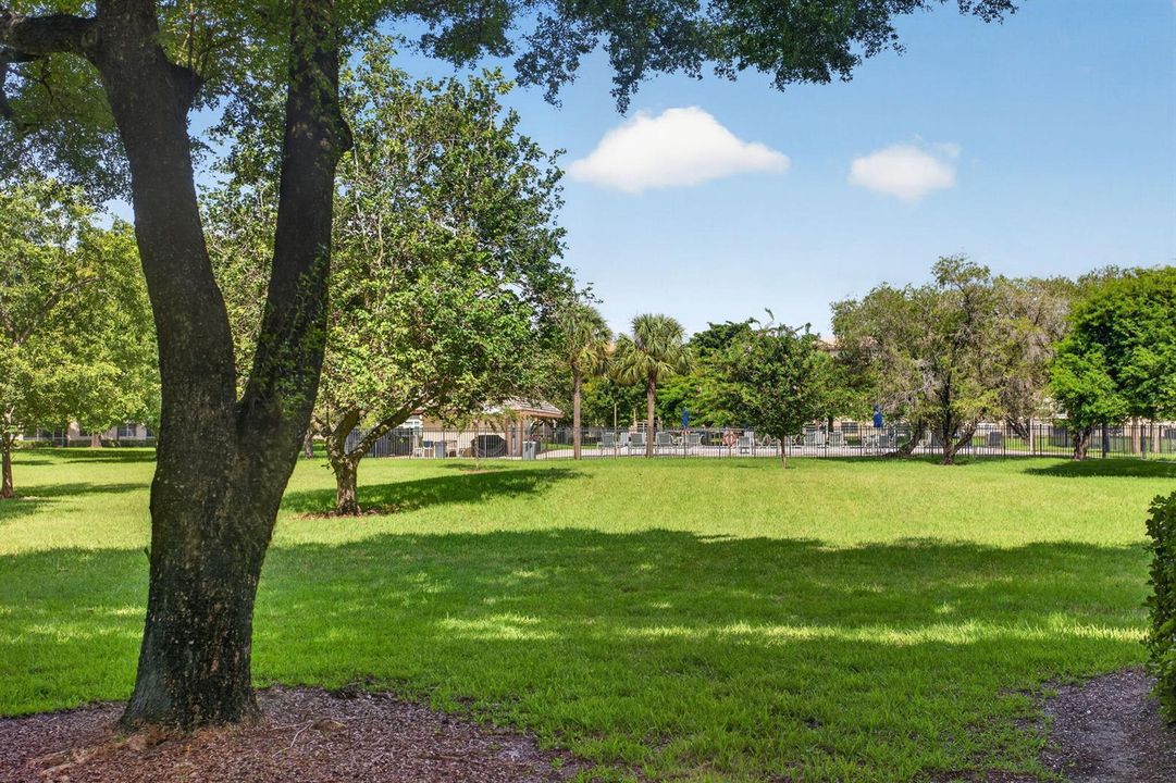 View from Patio