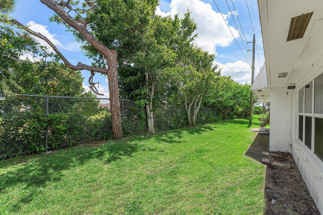 Backyard