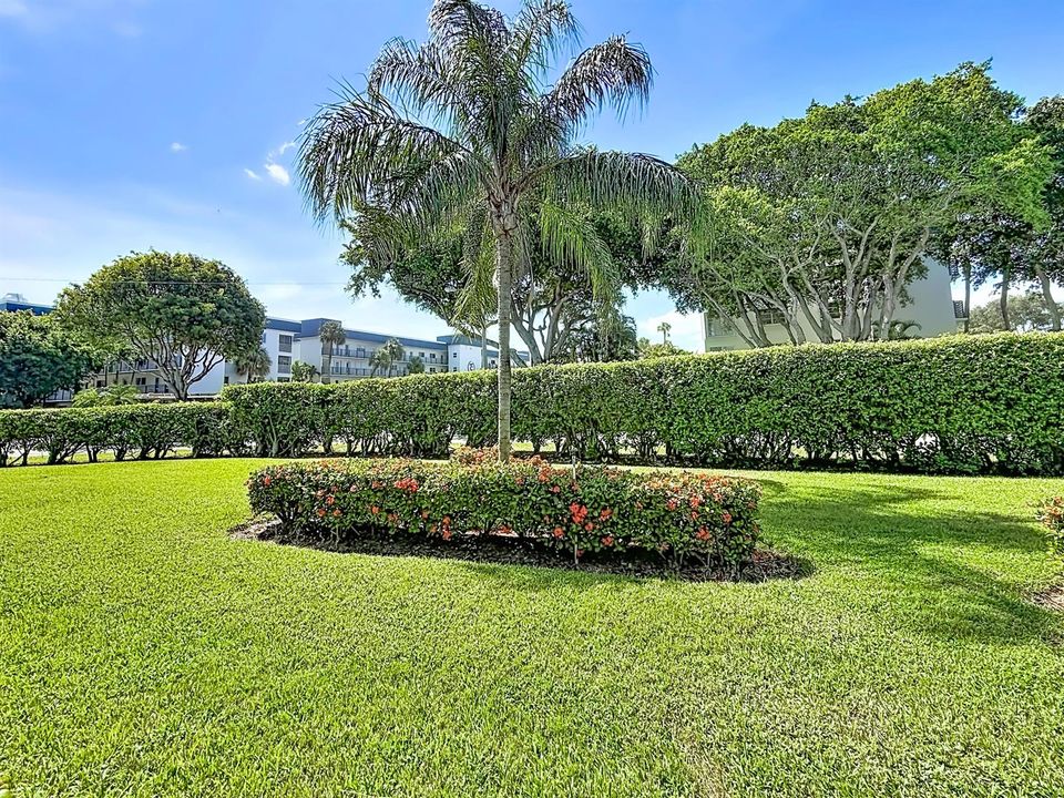207 Tropic Isle Drive #113-58