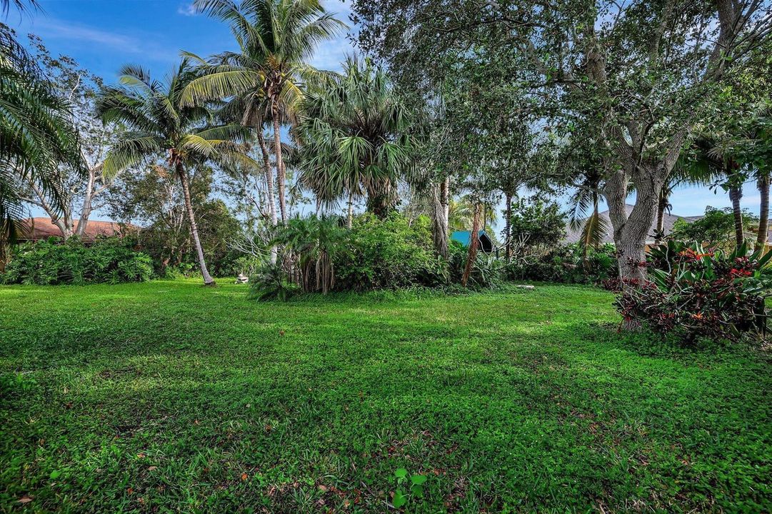 2-web-or-mls-632A4601