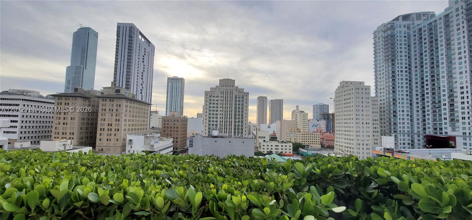 For Rent: $6,500 (3 beds, 2 baths, 1789 Square Feet)