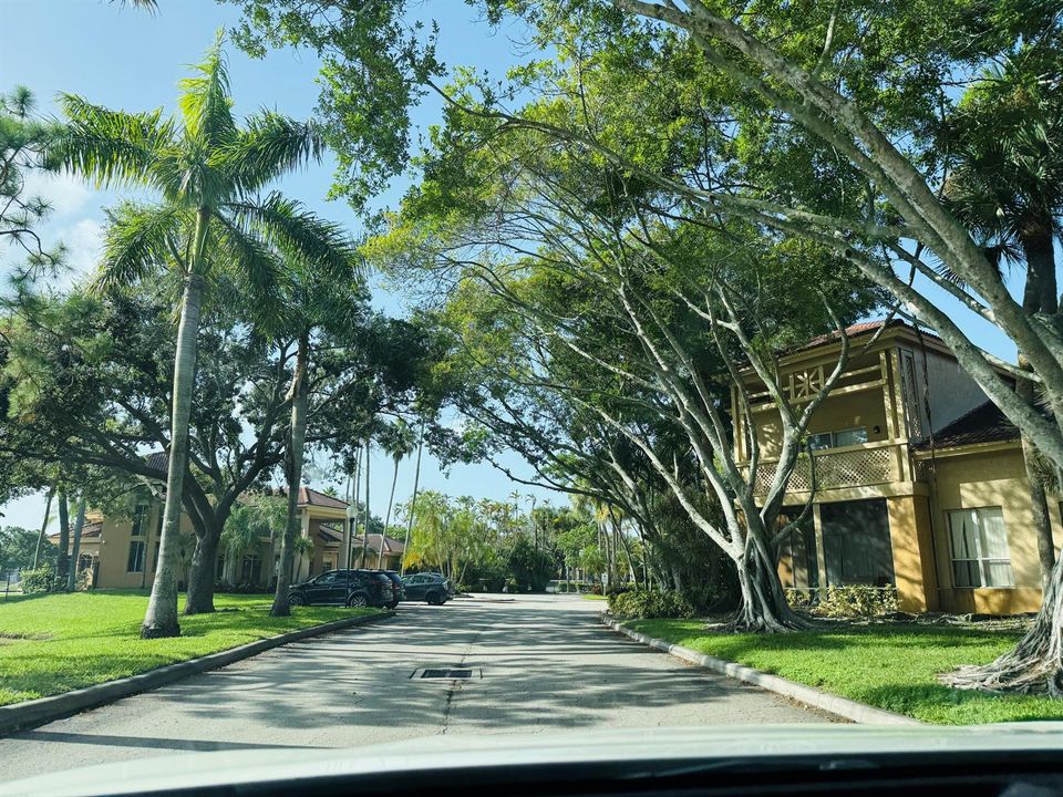 Palm Lakes