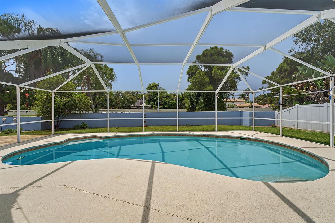 Pool/Backyard