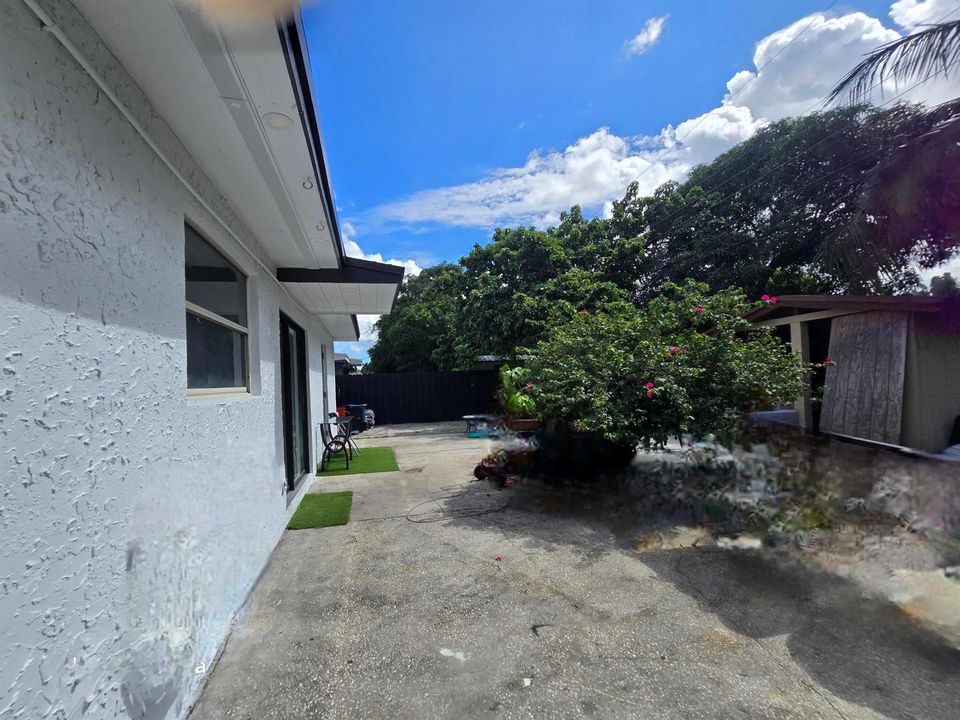 Back Yard 2
