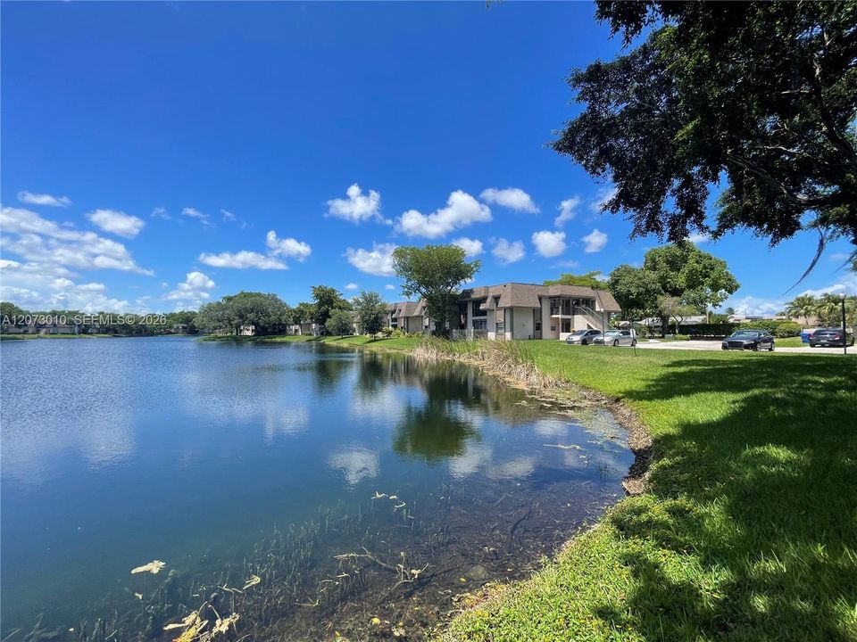 Beautiful lakes in the complex