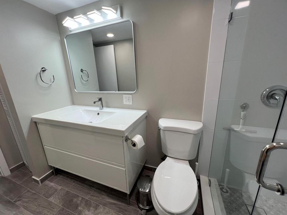 new vanity and toilet