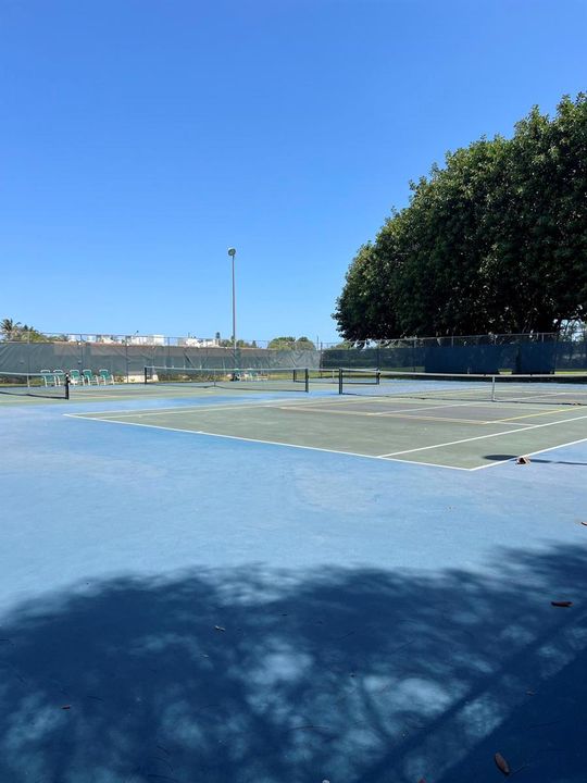 tennis/pickel ball