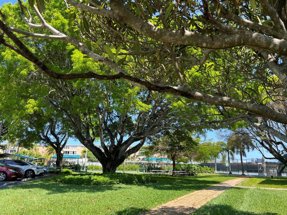 gardens