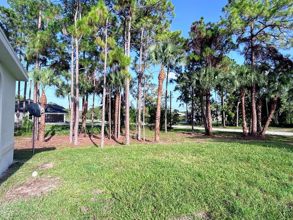 New Home to East of House