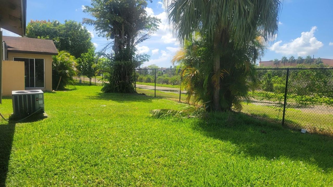 View from Backyard