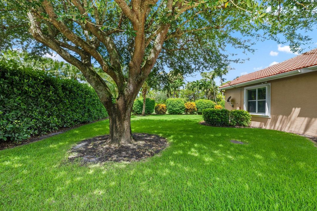 Private Yard