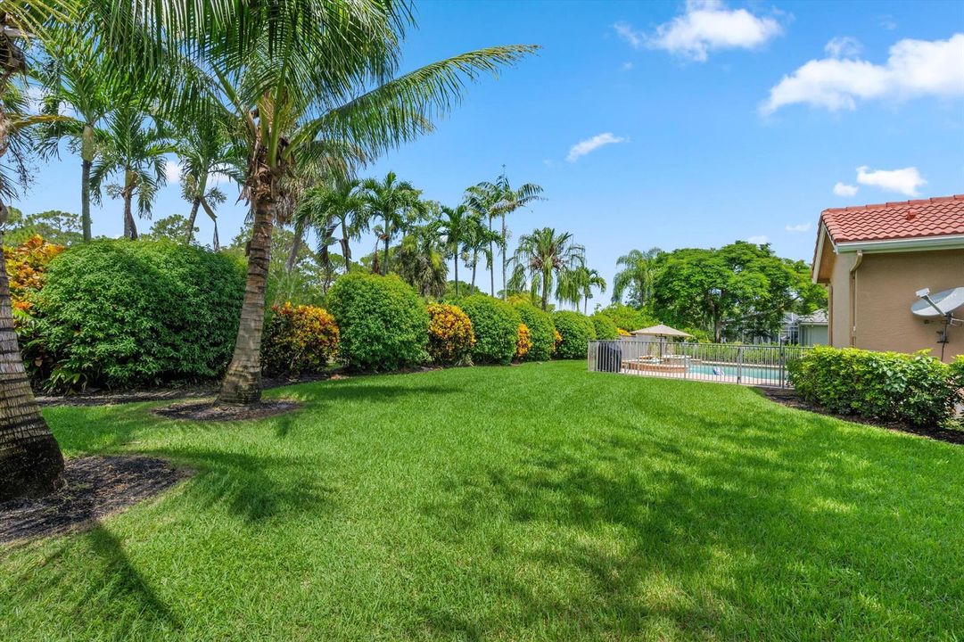 Rear Yard