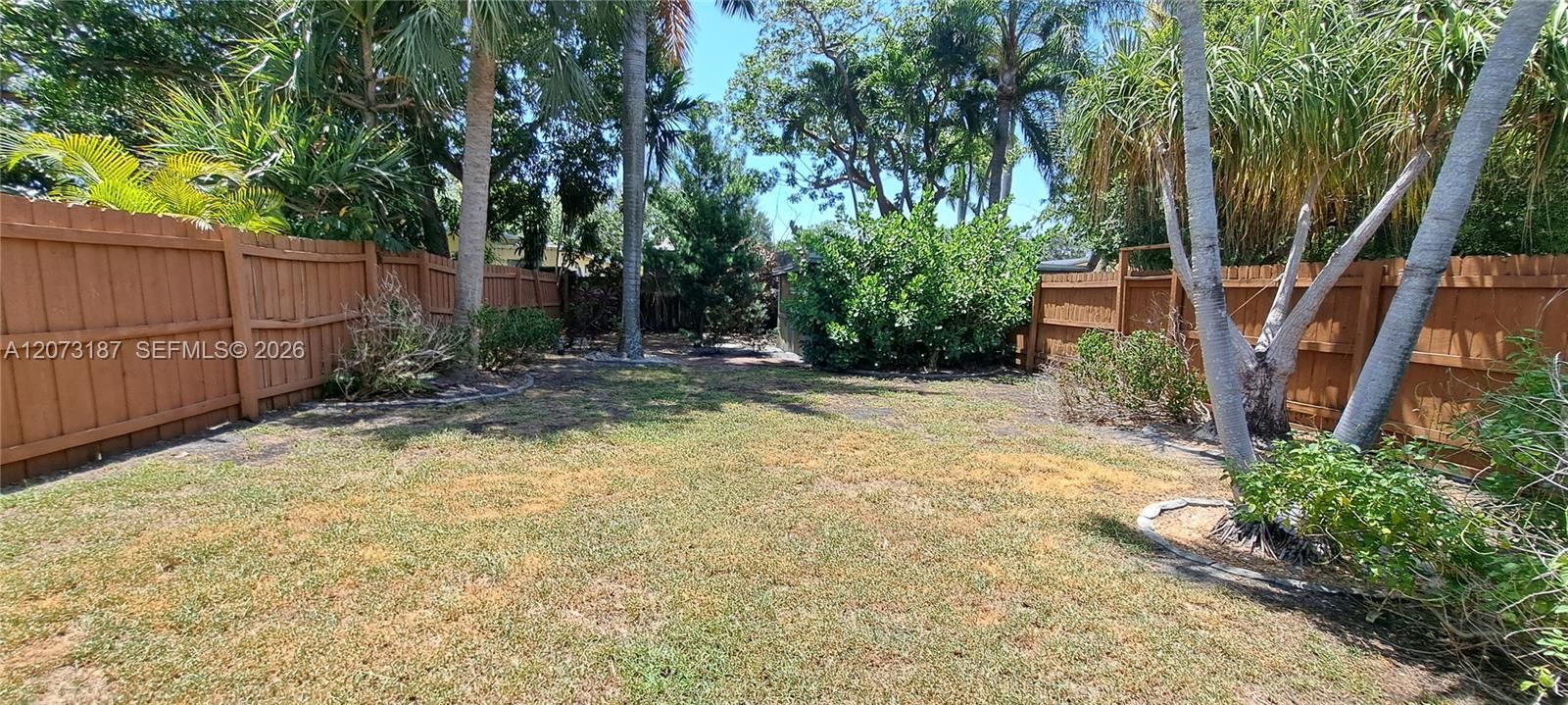 Backyard