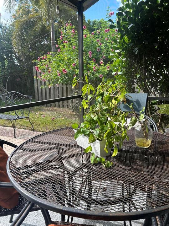 Screened Porch