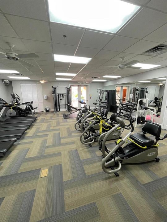 Gym
