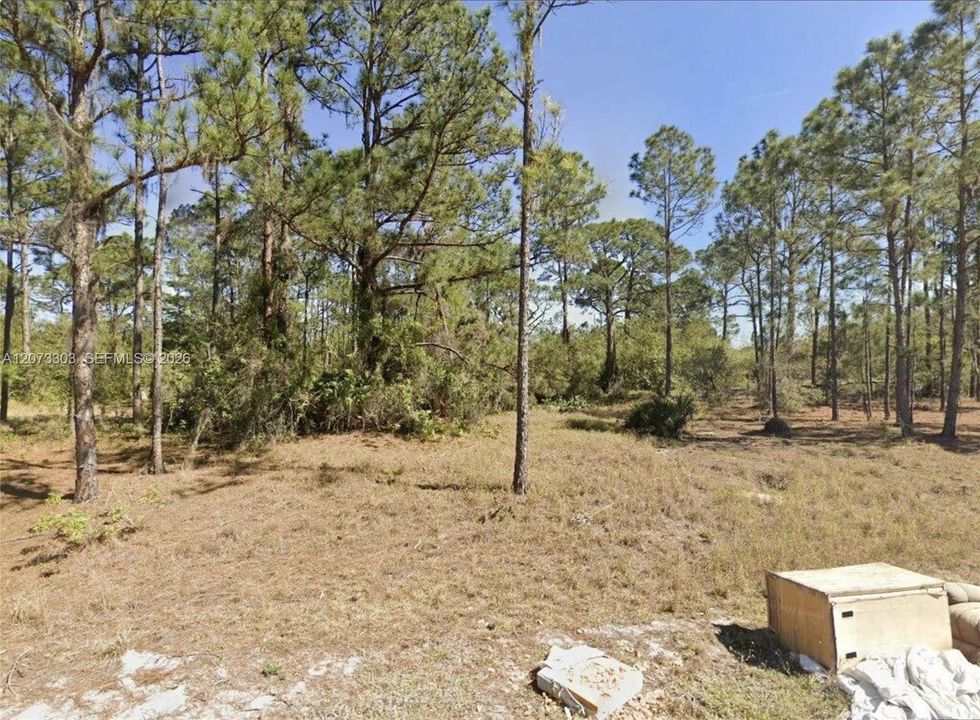 На продажу: $16,900 (0.26 acres)
