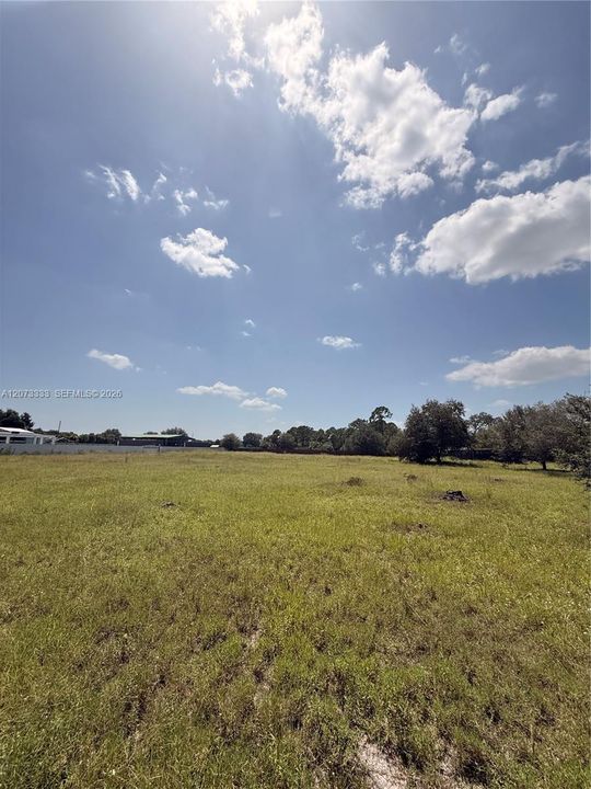 На продажу: $55,000 (1.25 acres)