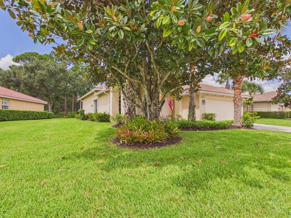Mature Landscaping