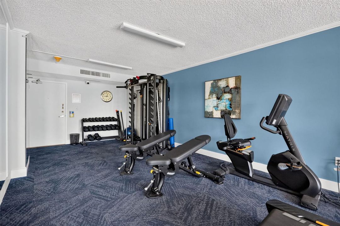 38-web-or-mls-8H3A3374