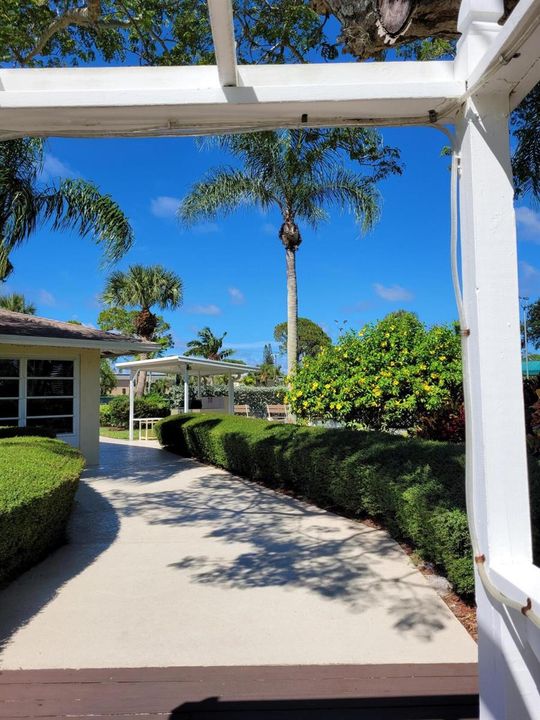 Walkway to Clubhouse