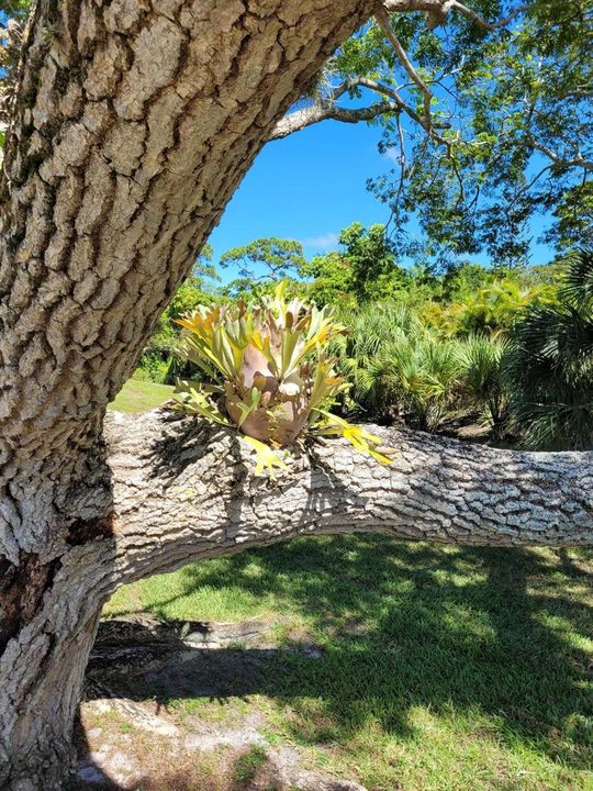 Landscaping 5