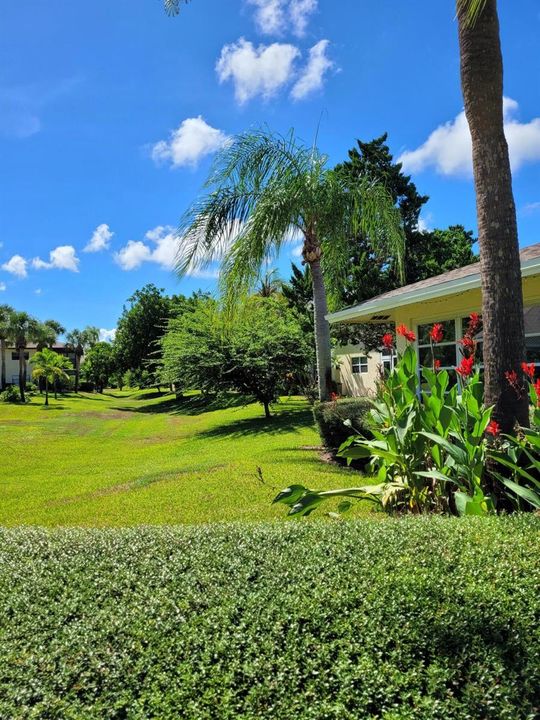 Landscaping 3
