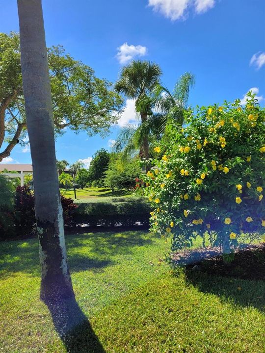 Landscaping 1