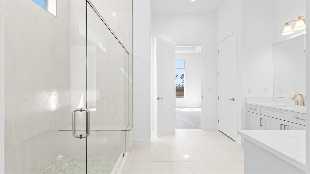 Owner's Bath