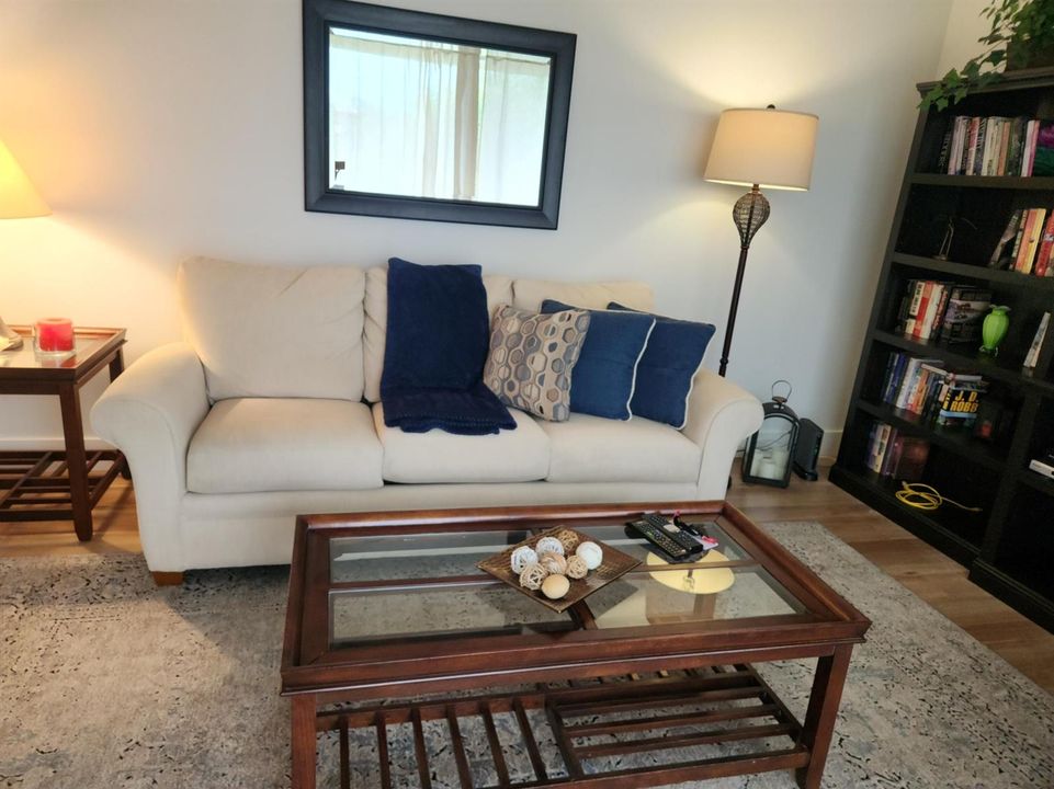 Pull Out Couch