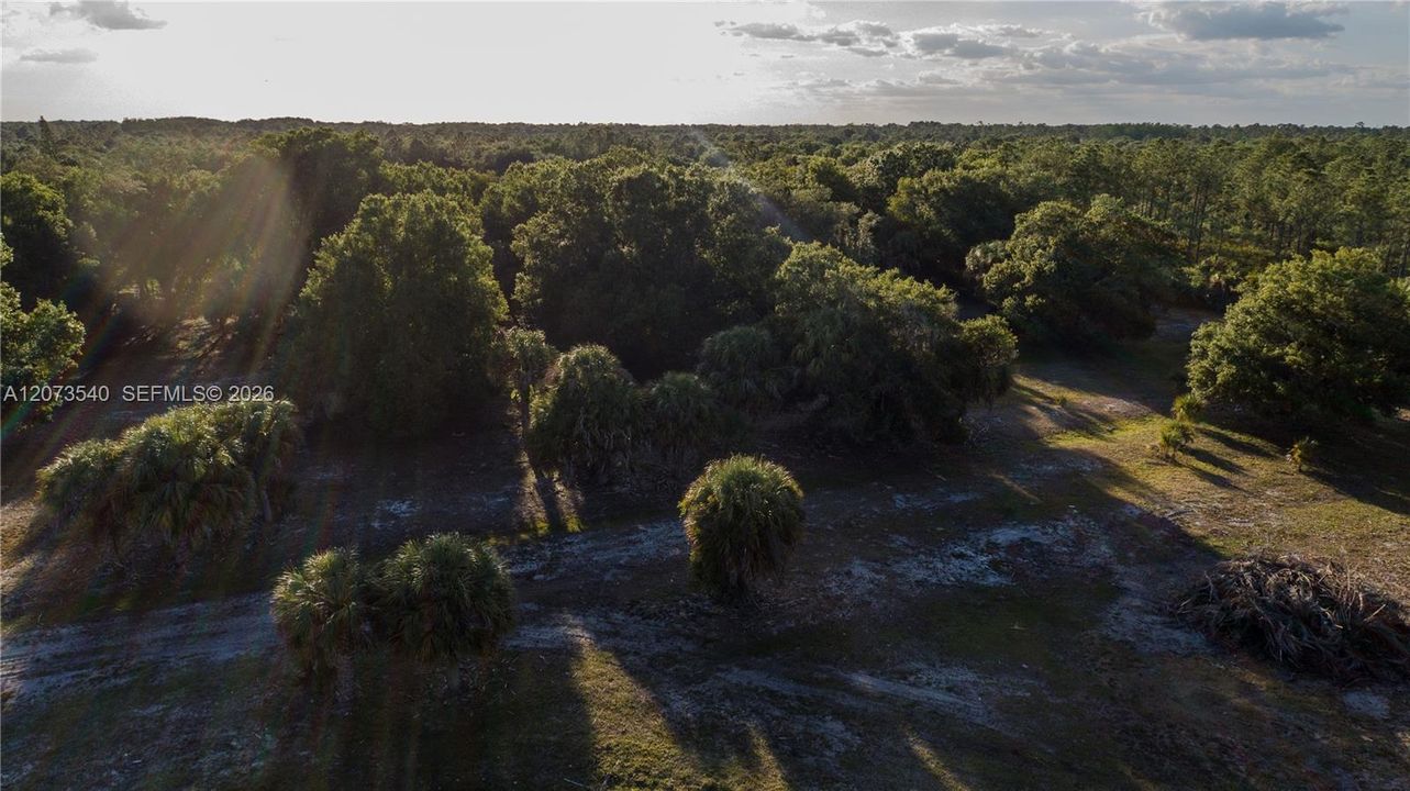 3880 Packinghouse Rd, Alva FL 33920