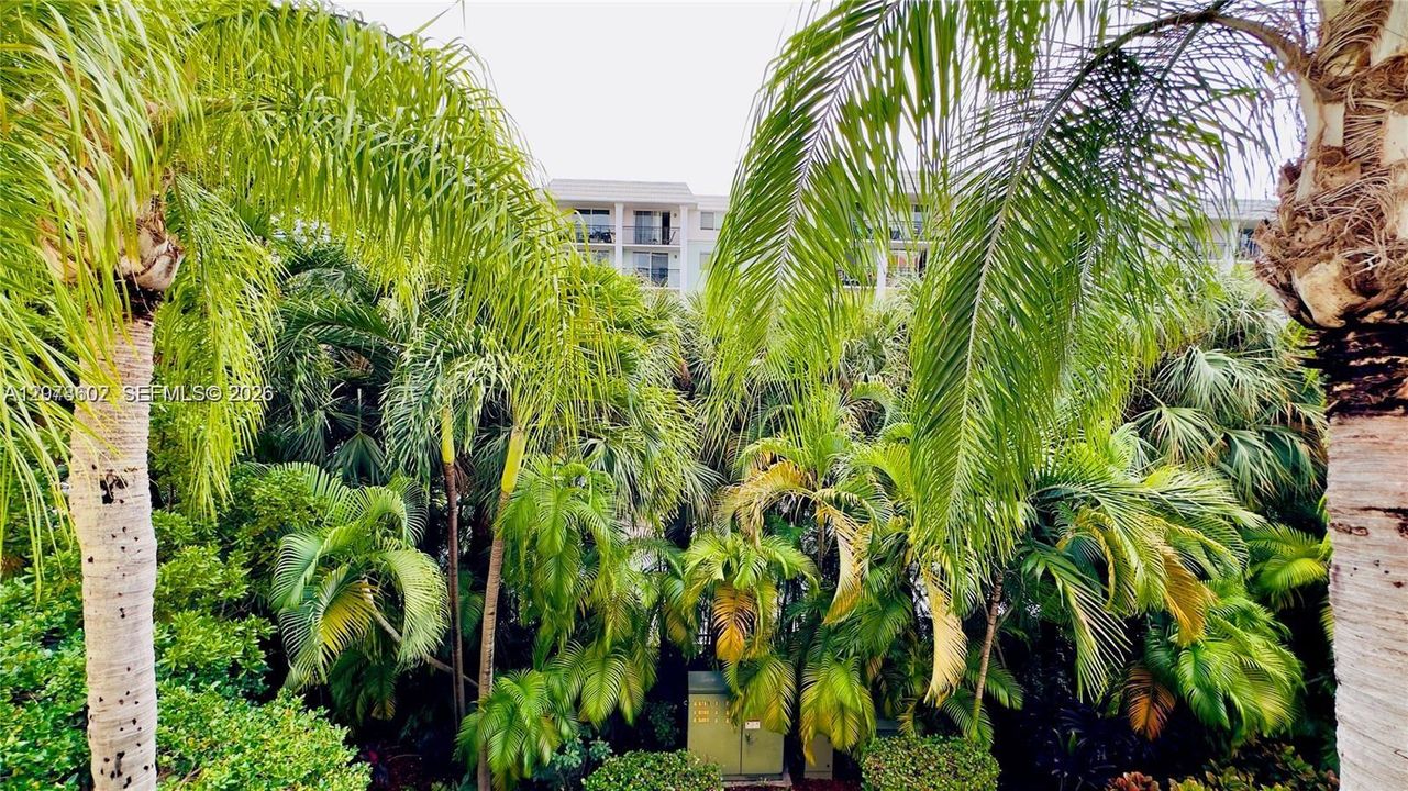For Rent: $2,900 (2 beds, 2 baths, 1024 Square Feet)