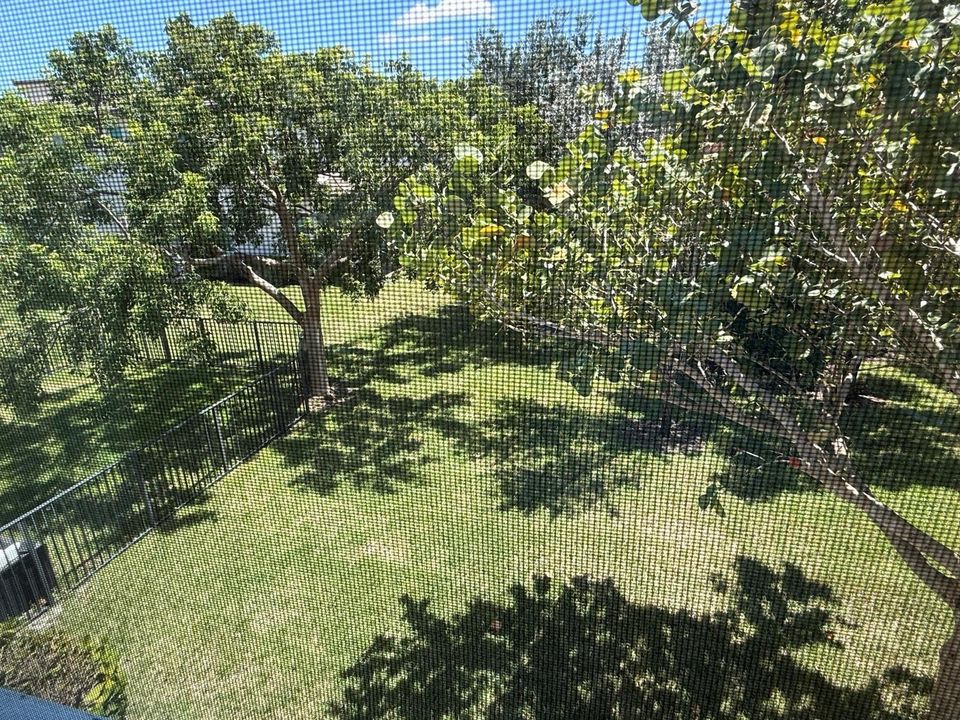 Yard