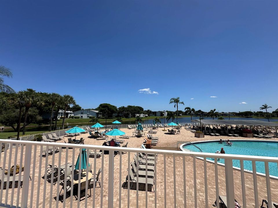 Pool Views