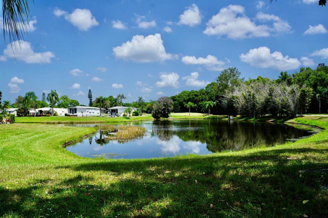 Lake View