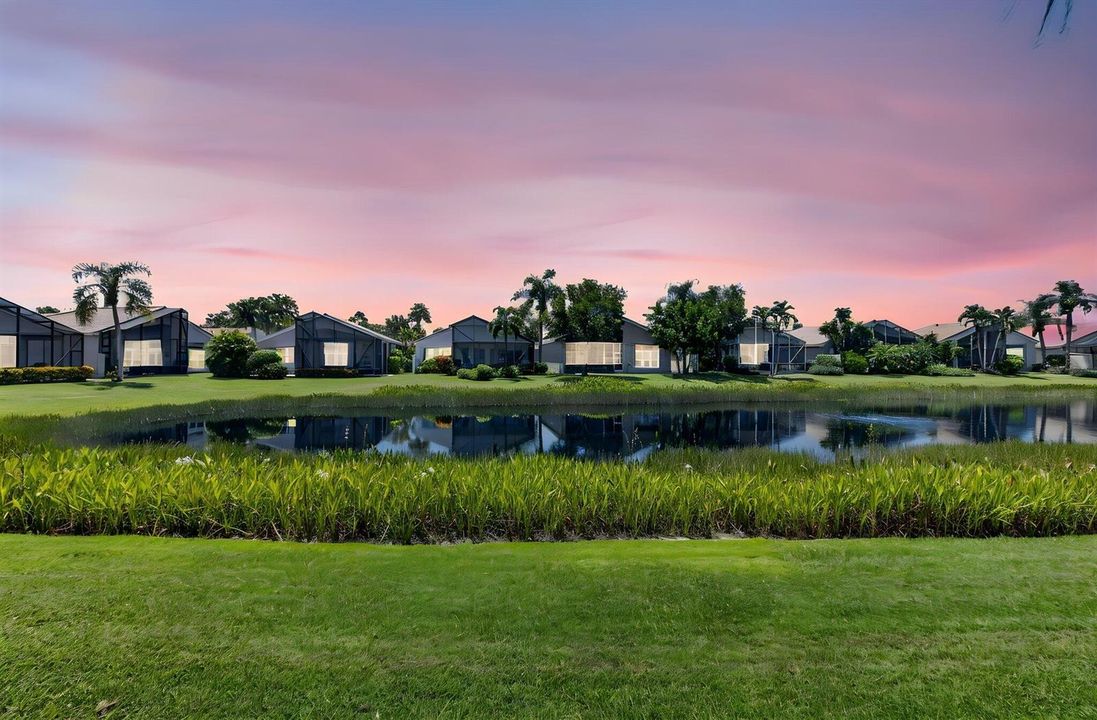 BACKYARD VIEW