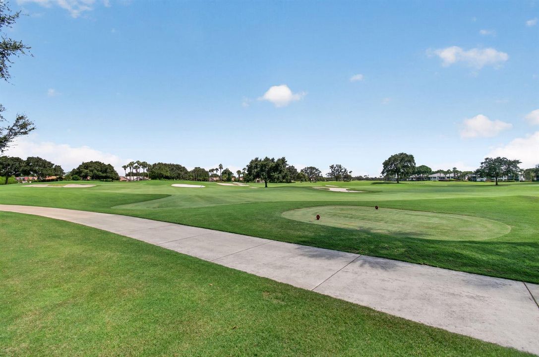 Amazing Golf View