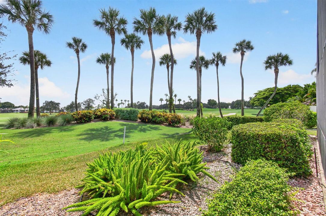 One of the Best Golf Course Views