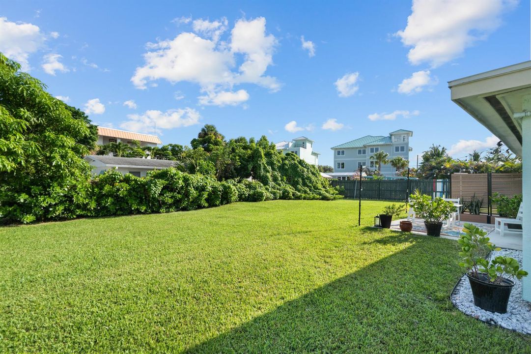 Backyard